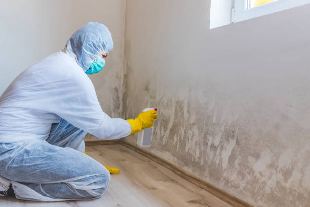 Mold Remediation specialist working in Cumberland